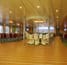 stena_line_superfast_viii_taste_tb