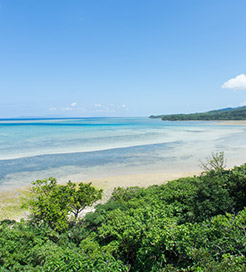 île d'Iriomote