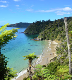 île Stewart