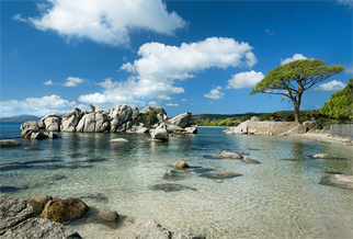 Corse: l’OFFRE FLASH de Corsica Linea